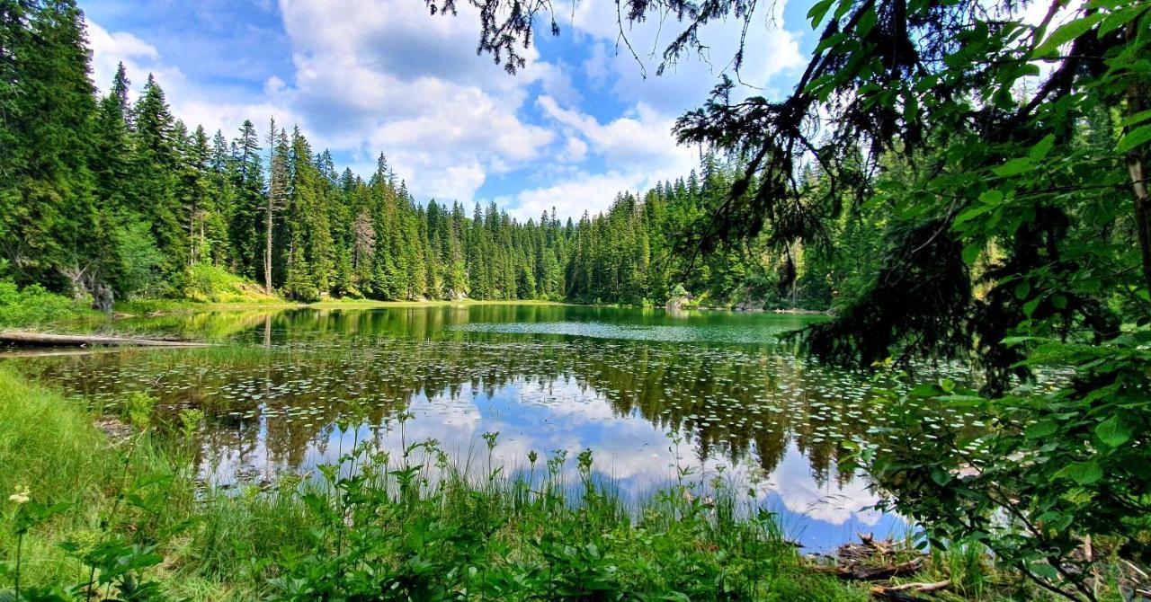 Hedonist Village Žabljak Eksteriør bilde