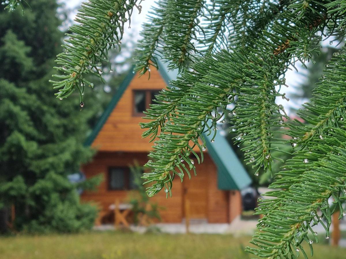 Hedonist Village Žabljak Eksteriør bilde